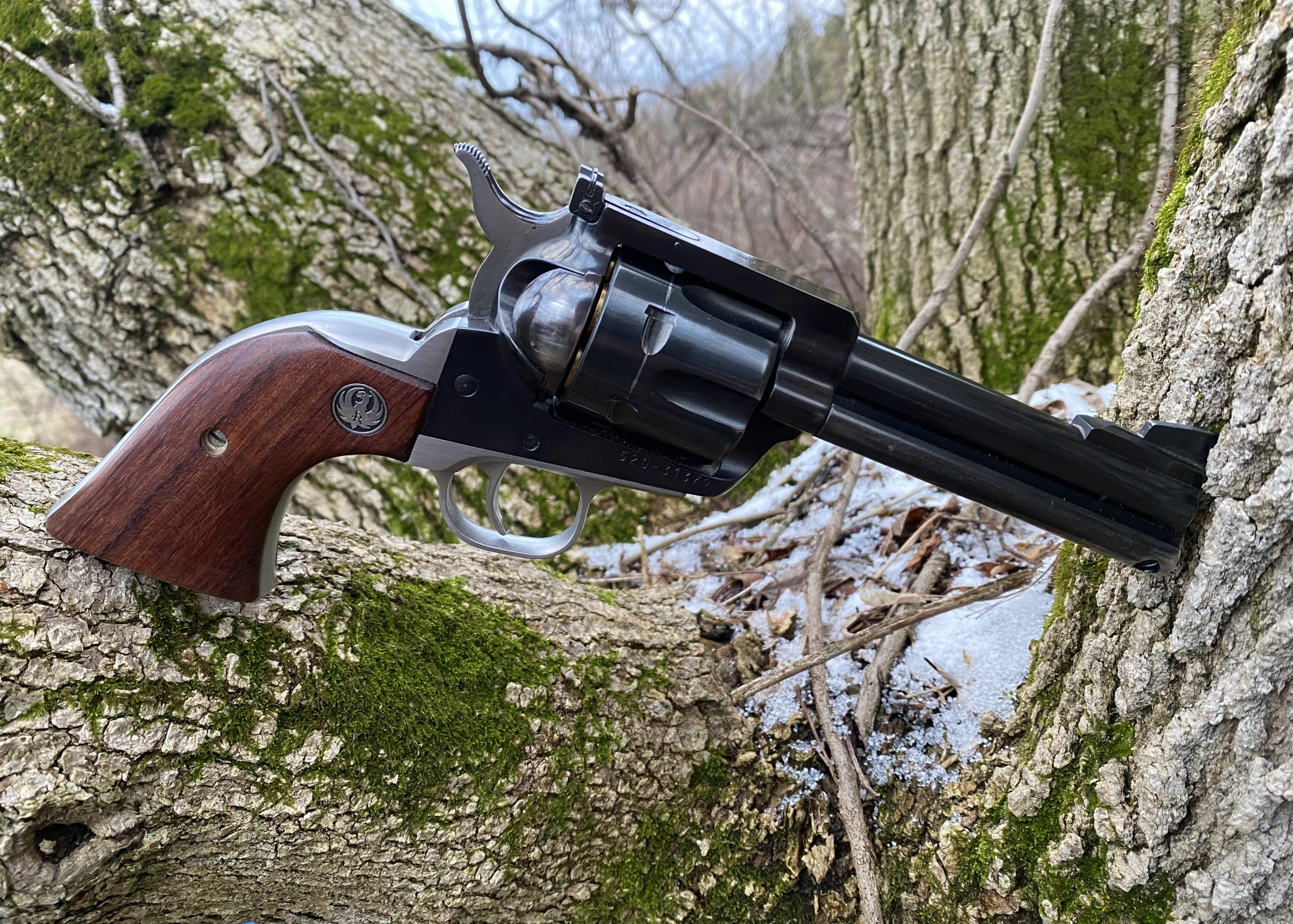 My Two-Tone Single Action Sixgun; Ruger’s Flattop Blackhawk 44 Special